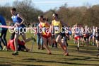 Senior mens Inter Counties Cross Country,  Cofton Park, Birmingham. Photo: David T. Hewitson/Sports for All Pics